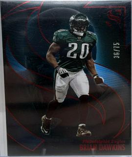 Brian Dawkins