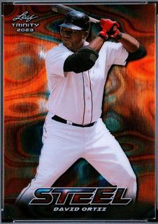 David Ortiz