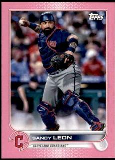 Sandy Leon