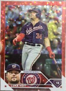 Luke Voit