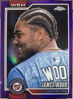 James Wood