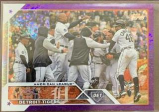 Detroit Tigers