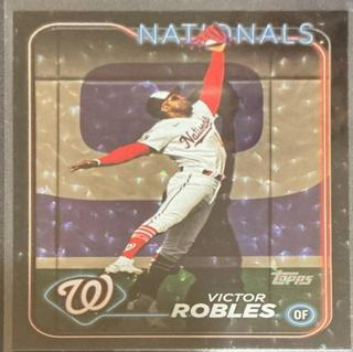 Victor Robles