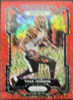 Chad Johnson