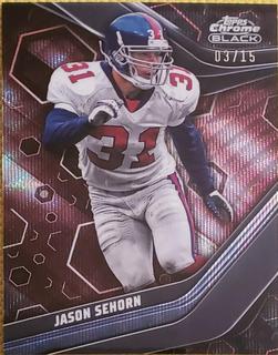 Jason Sehorn