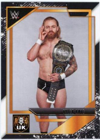 Tyler Bate #12 Wrestling Cards 2022 Panini NXT WWE NXT Gold