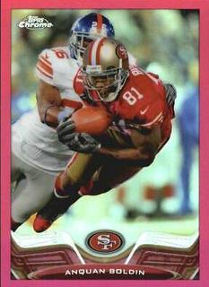 Anquan Boldin