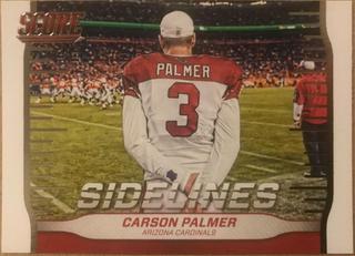 Carson Palmer