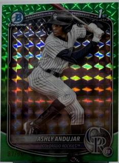Ashly Andujar