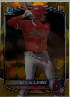 Hayden Alvarez