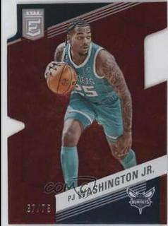 PJ Washington Jr.
