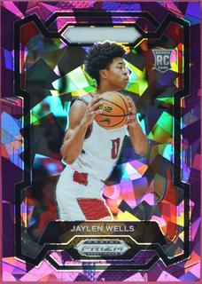 Jaylen Wells