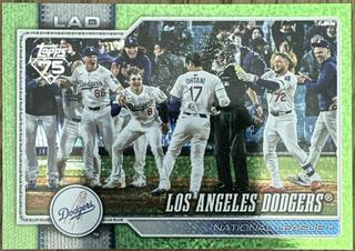 Team Card