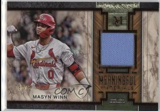 Masyn Winn