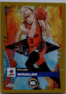 Dylan Windler
