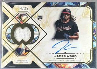 James Wood