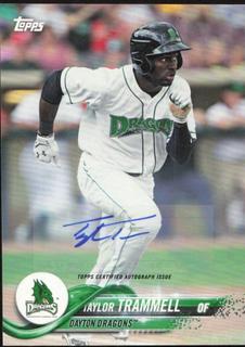 Taylor Trammell