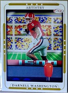 Darnell Washington