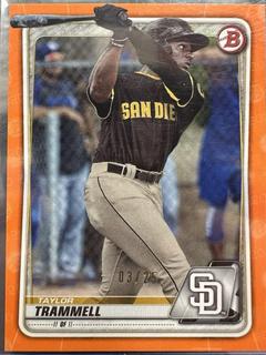 Taylor Trammell