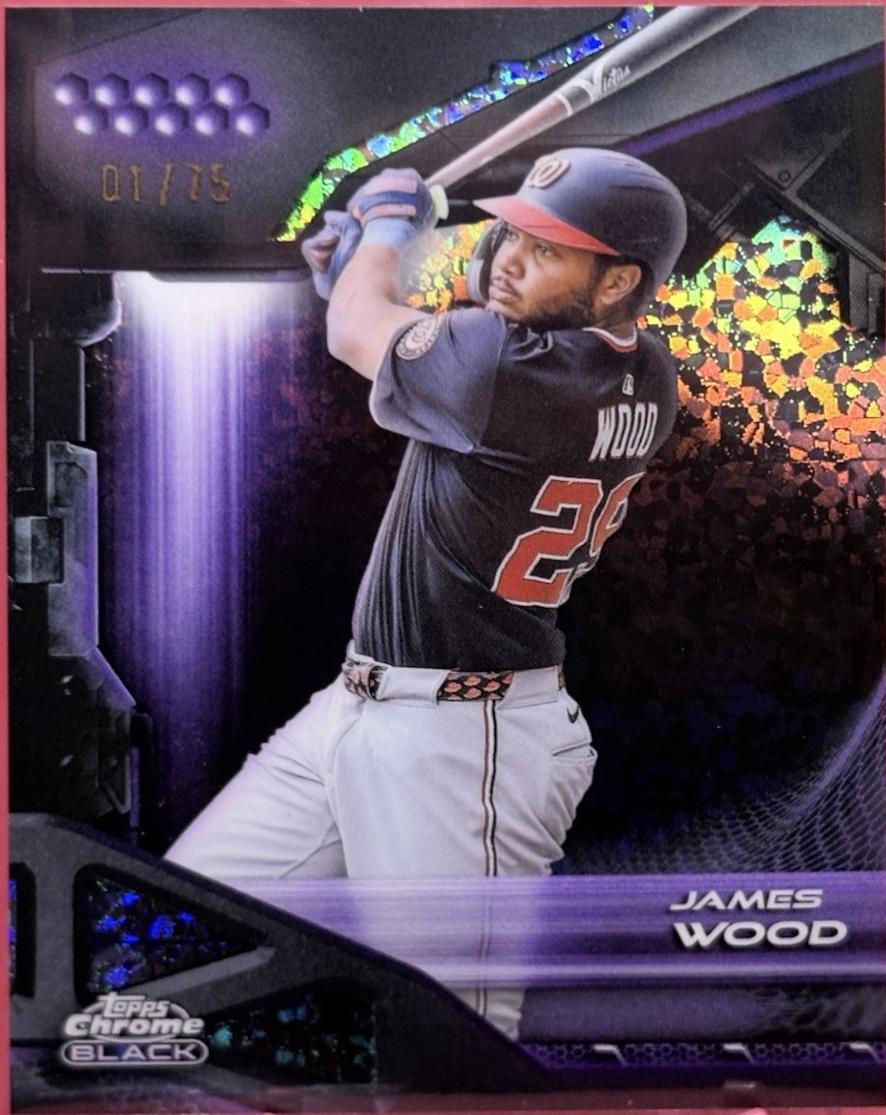 James Wood [Purple Mini-Diamond Refractor] #156