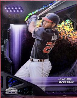 James Wood