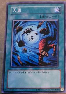 Heavy Storm SK2-023