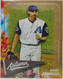 Randy Johnson