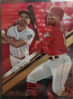 Joey Votto