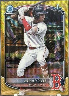 Harold Rivas