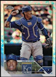 Salvador Perez