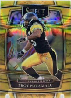 Troy Polamalu