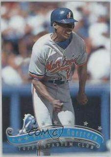 Vladimir Guerrero