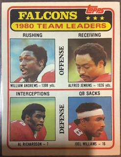Falcons Checklist