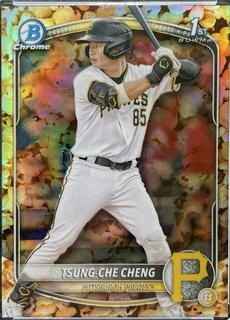Tsung-Che Cheng
