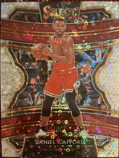 Daniel Gafford