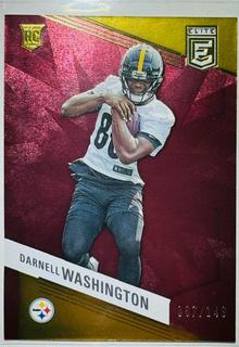 Darnell Washington