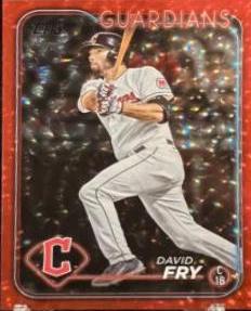 David Fry