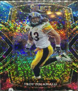 Troy Polamalu