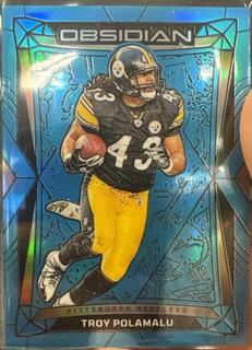Troy Polamalu