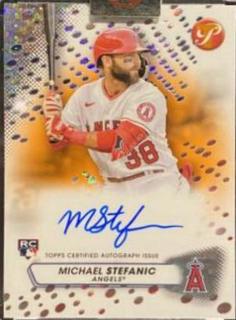 Michael Stefanic
