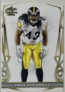 Troy Polamalu
