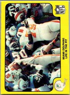 Miami Dolphins
