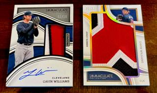 Gavin Williams