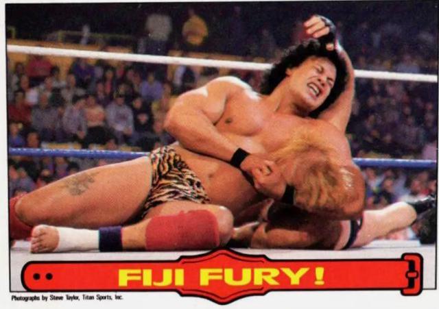 Fiji Fury #53 Wrestling Cards 1985 O Pee Chee WWF Series 2