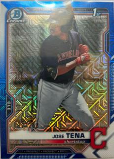 Jose Tena