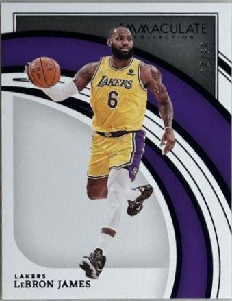 LeBron James [Blue] #41