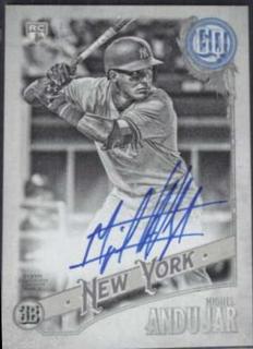 Miguel Andujar