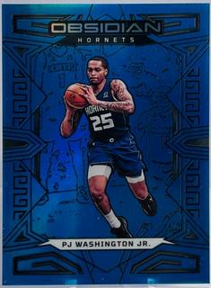 PJ Washington Jr.