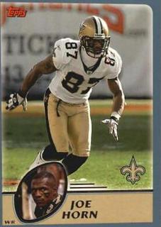Joe Horn
