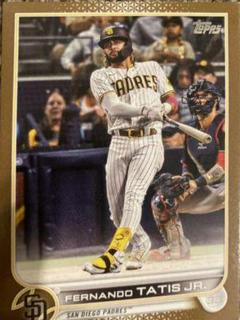 Fernando Tatis Jr.